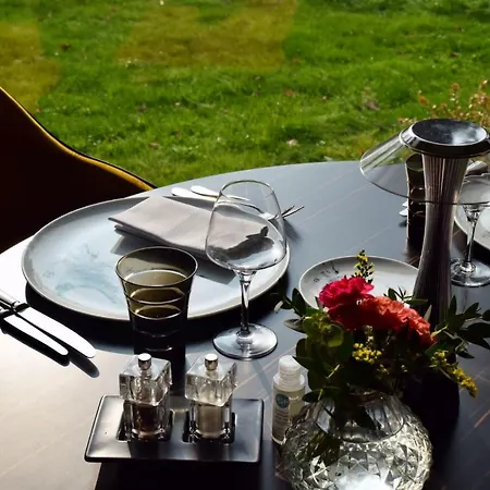 Hotel Chateau Du Clos De La Ribaudiere - Teritoria Chasseneuil-du-Poitou