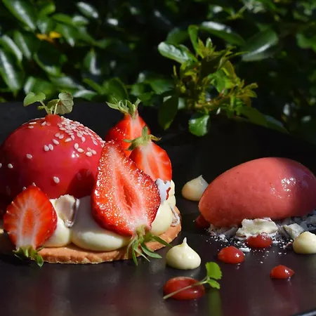 Chateau Du Clos De La Ribaudiere - Teritoria Chasseneuil-du-Poitou