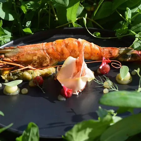 Szálloda Chateau Du Clos De La Ribaudiere - Teritoria 4*