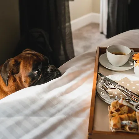 Chateau Du Clos De La Ribaudiere - Teritoria Hotel