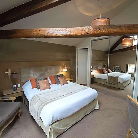 Hotel Chateau Du Clos De La Ribaudiere - Teritoria Chasseneuil-du-Poitou