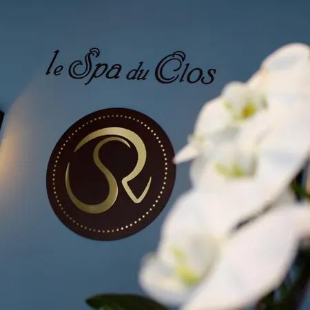 Chateau Du Clos De La Ribaudiere - Teritoria Hotel Chasseneuil-du-Poitou