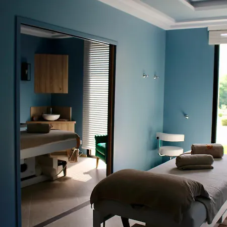 Chateau Du Clos De La Ribaudiere - Teritoria 4*