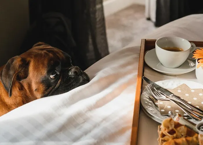 Chateau Du Clos De La Ribaudiere - Teritoria Hotel