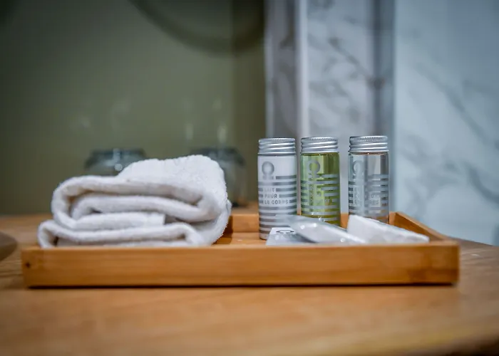 Hotel Chateau Du Clos De La Ribaudiere - Teritoria 4*